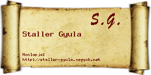 Staller Gyula névjegykártya